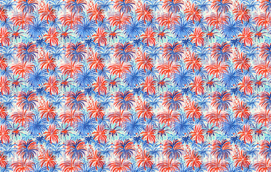 LP005 - Lily Pulitzer Fireworks-Country Gone Crazy-Country Gone Crazy