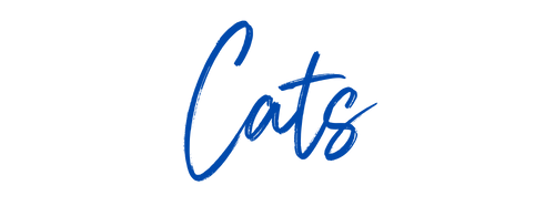 Cats Transfers