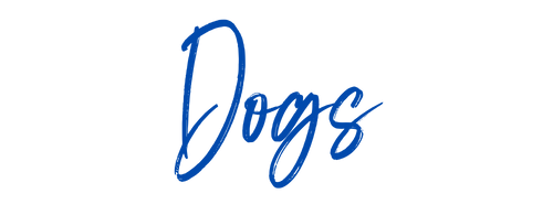 Dog Transfers