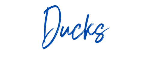 Ducks Transfers
