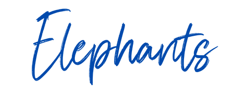 Elephant Transfers