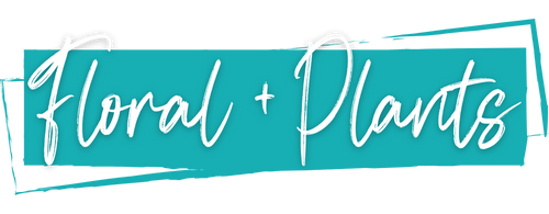 Flowers + Plants Transfers