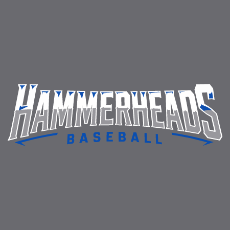 HAMMERHEADS BASEBALL