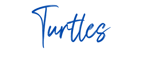 Turtle Transfers