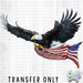 HT041 • Eagle with Flag-Country Gone Crazy-Country Gone Crazy