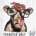 HT1734 • Cow in Bandana and Glasses-Country Gone Crazy-Country Gone Crazy