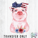 HT701 • American Pig-Country Gone Crazy-Country Gone Crazy