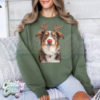 Australian Shepherd Reindeer-Country Gone Crazy-Country Gone Crazy