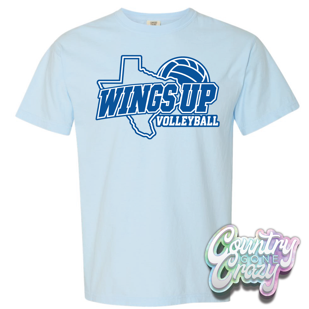 WINGS UP VOLLEYBALL // 2026-Country Gone Crazy-Country Gone Crazy