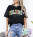 Falcons - Faux Chenille - T-Shirt-Country Gone Crazy-Country Gone Crazy