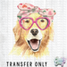 HT1835 • Dog Wearing Glasses-Country Gone Crazy-Country Gone Crazy