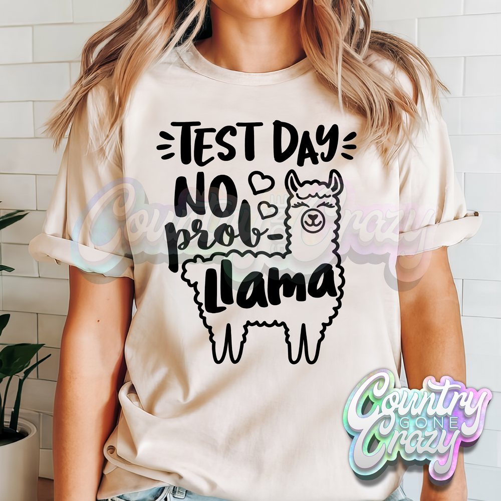 TEST DAY LLAMA-Country Gone Crazy-Country Gone Crazy