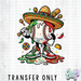 HT5378 • BASEBALL DRIP CINCO-Country Gone Crazy-Country Gone Crazy