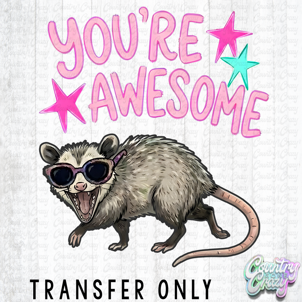HT5619 • YOU'RE AWESOME