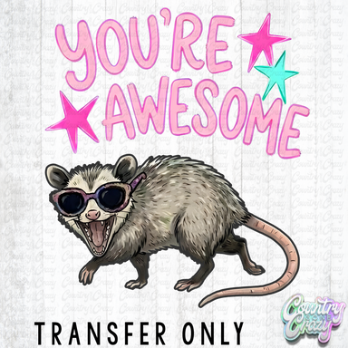 HT5619 • YOU'RE AWESOME-Country Gone Crazy-Country Gone Crazy