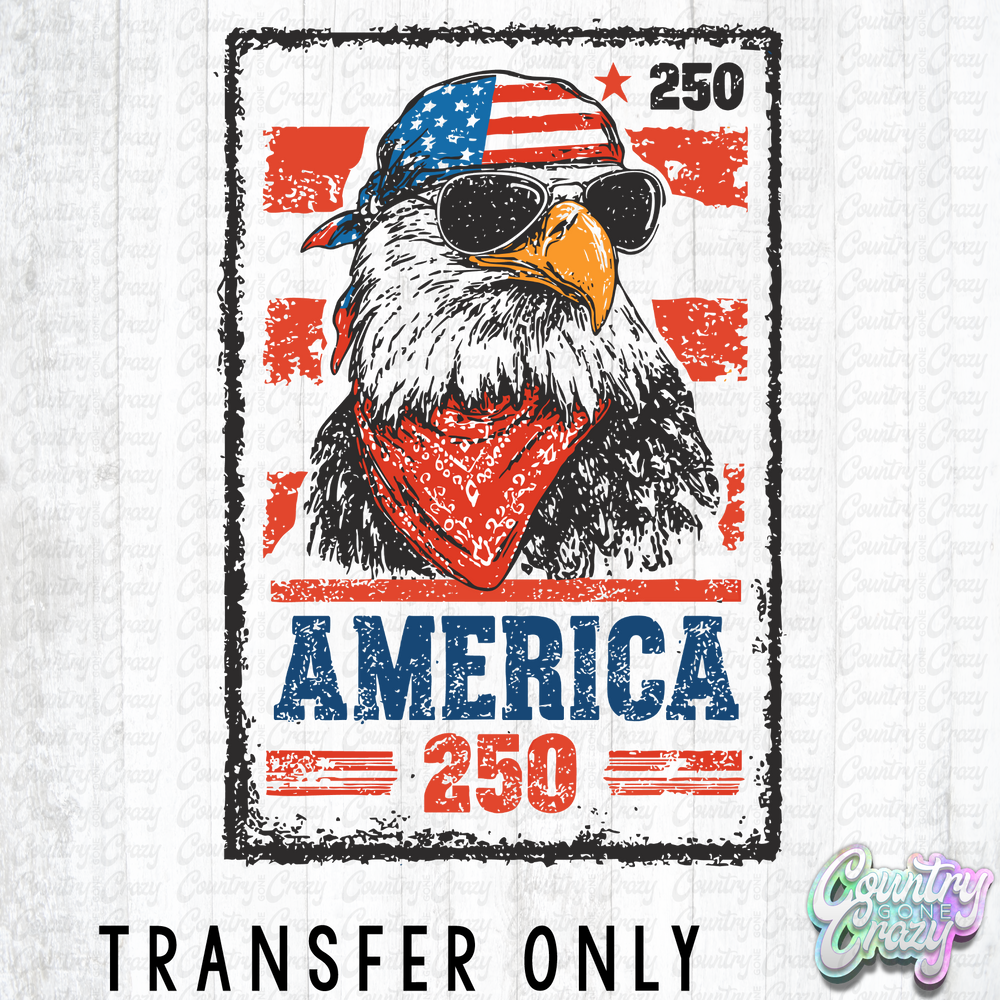 HT5632 • AMERICA 250 EAGLE