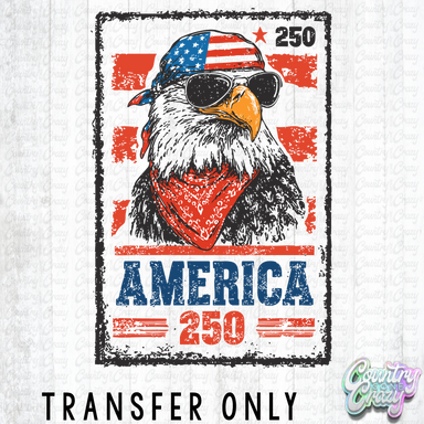 HT5632 • AMERICA 250 EAGLE-Country Gone Crazy-Country Gone Crazy