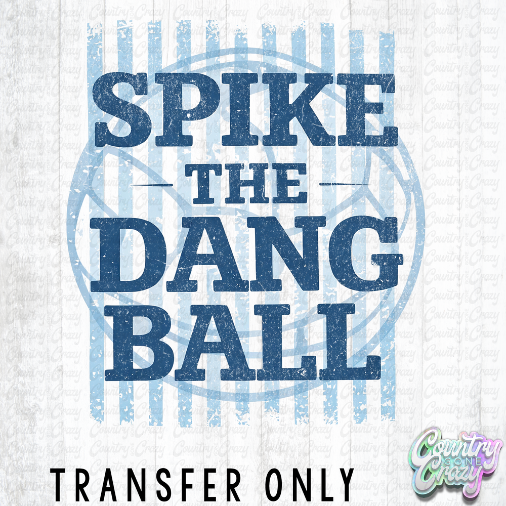HT5789 • SPIKE THE DANG BALL