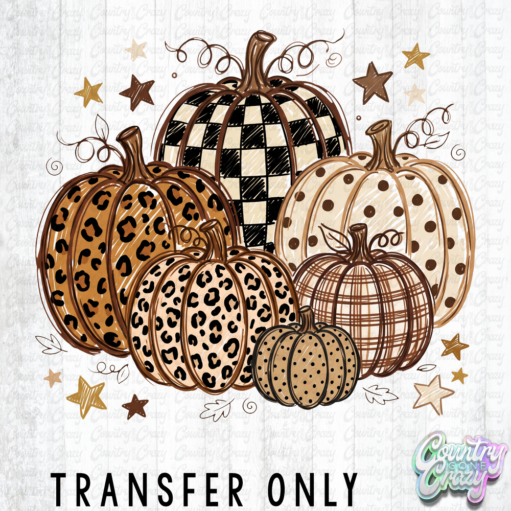HT5802 • PATTERNED PUMPKIN COQUETTE