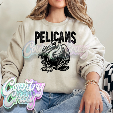 PELICANS // Monochrome-Country Gone Crazy-Country Gone Crazy
