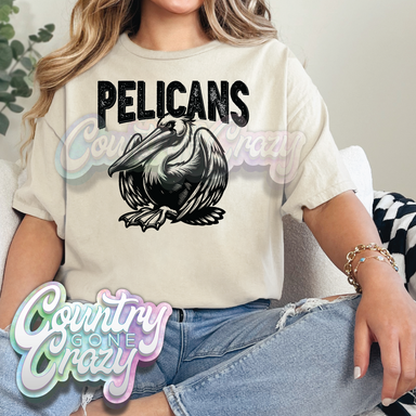 PELICANS // Monochrome-Country Gone Crazy-Country Gone Crazy