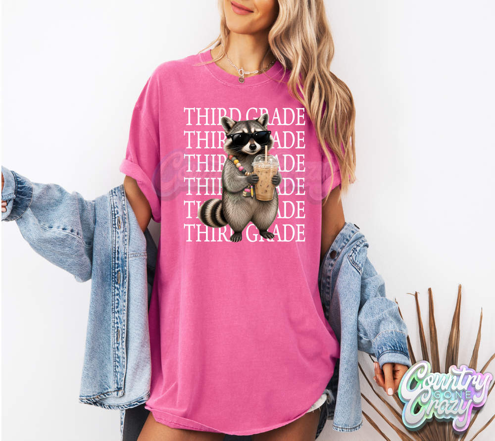 THIRD GRADE - TEACHER RACCOON