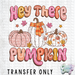 HT3680 • HEY THERE PUMPKIN-Country Gone Crazy-Country Gone Crazy