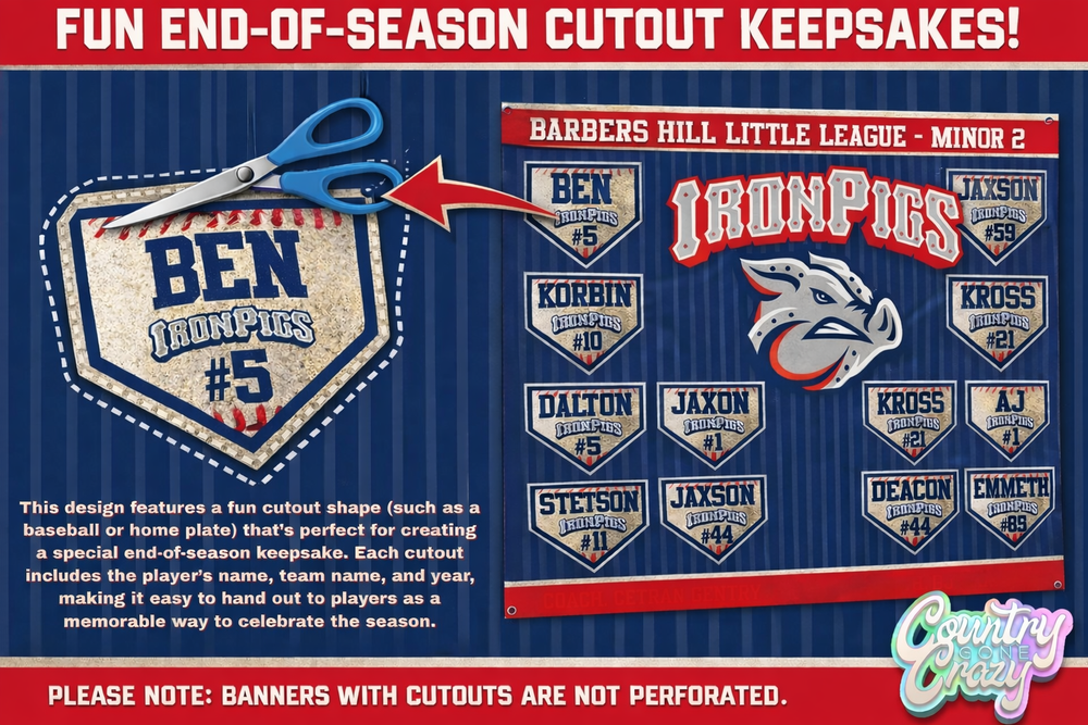 Team Banners-Country Gone Crazy-Country Gone Crazy