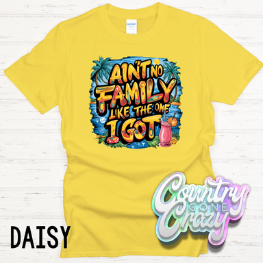 Ain't no family like the one I got - T-Shirt-Country Gone Crazy-Country Gone Crazy
