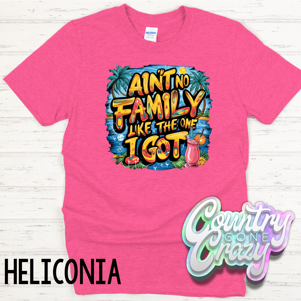 Ain't no family like the one I got - T-Shirt-Country Gone Crazy-Country Gone Crazy