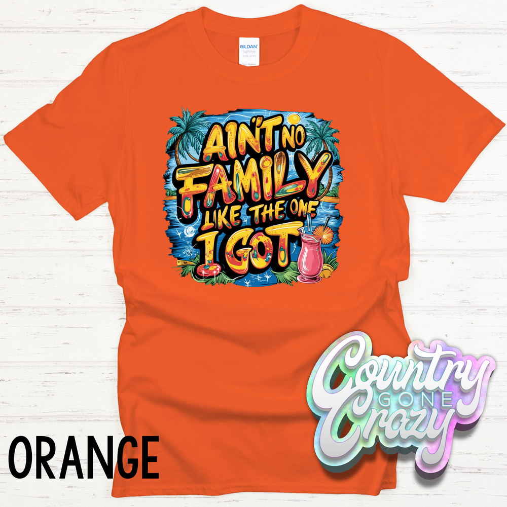Ain't no family like the one I got - T-Shirt-Country Gone Crazy-Country Gone Crazy