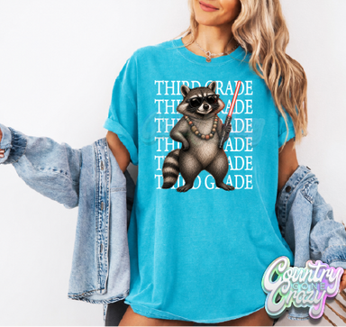 THIRD GRADE - STAR WARS RACCOON-Comfort Colors-Country Gone Crazy