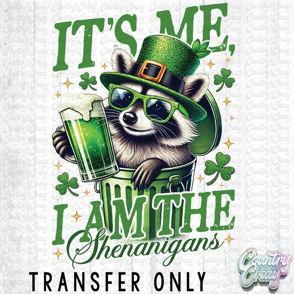 HT5018 • IT'S ME I AM THE SHENANIGANS-Country Gone Crazy-Country Gone Crazy