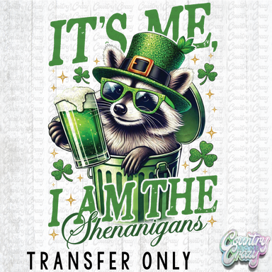 HT5018 • IT'S ME I AM THE SHENANIGANS-Country Gone Crazy-Country Gone Crazy