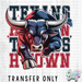 HT4890 • H-TOWN WITH BULL-Country Gone Crazy-Country Gone Crazy