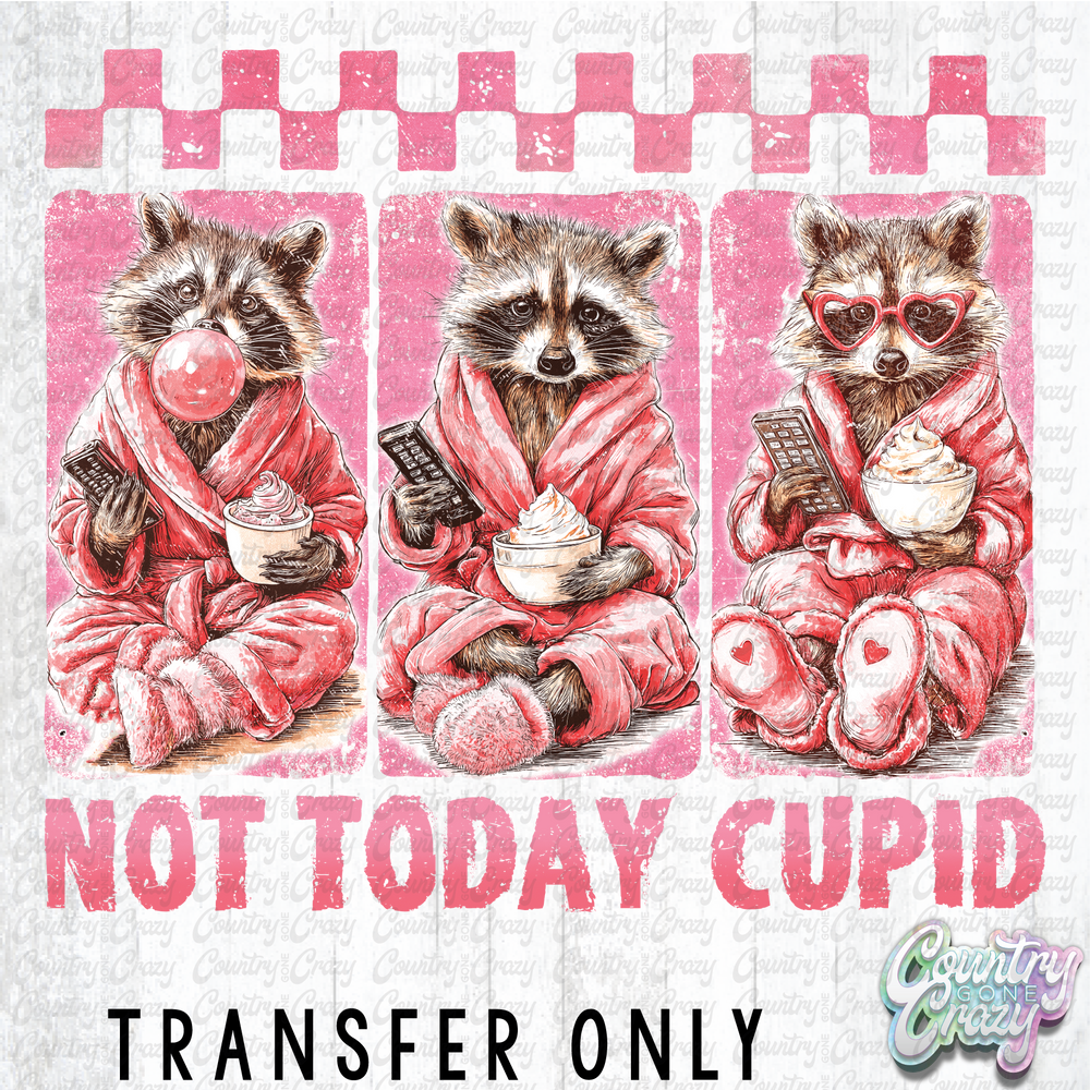 HT4982 • NOT TODAY CUPID-Country Gone Crazy-Country Gone Crazy