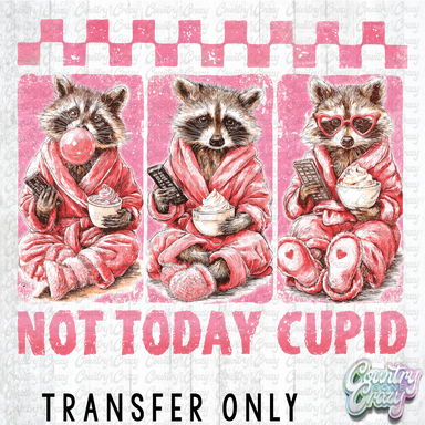 HT4982 • NOT TODAY CUPID-Country Gone Crazy-Country Gone Crazy