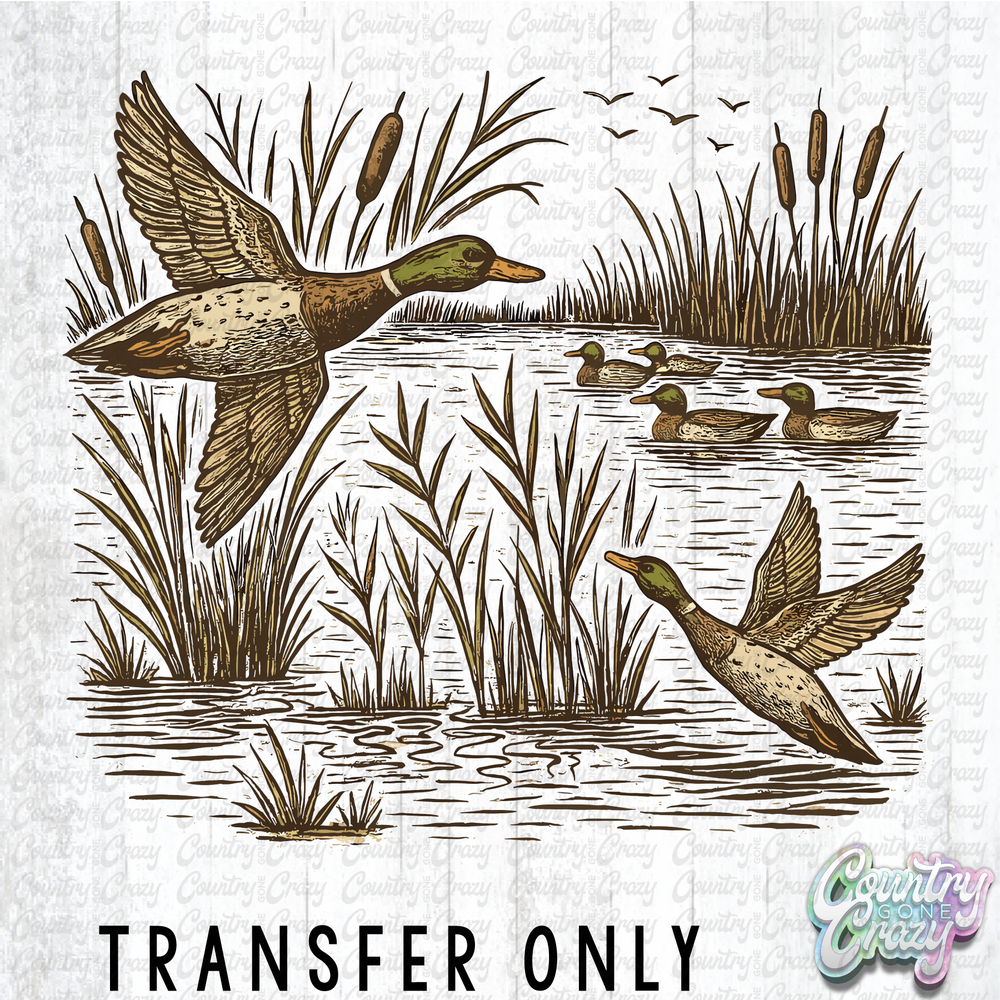 HT5139 • DUCKS IN SWAMP-Country Gone Crazy-Country Gone Crazy