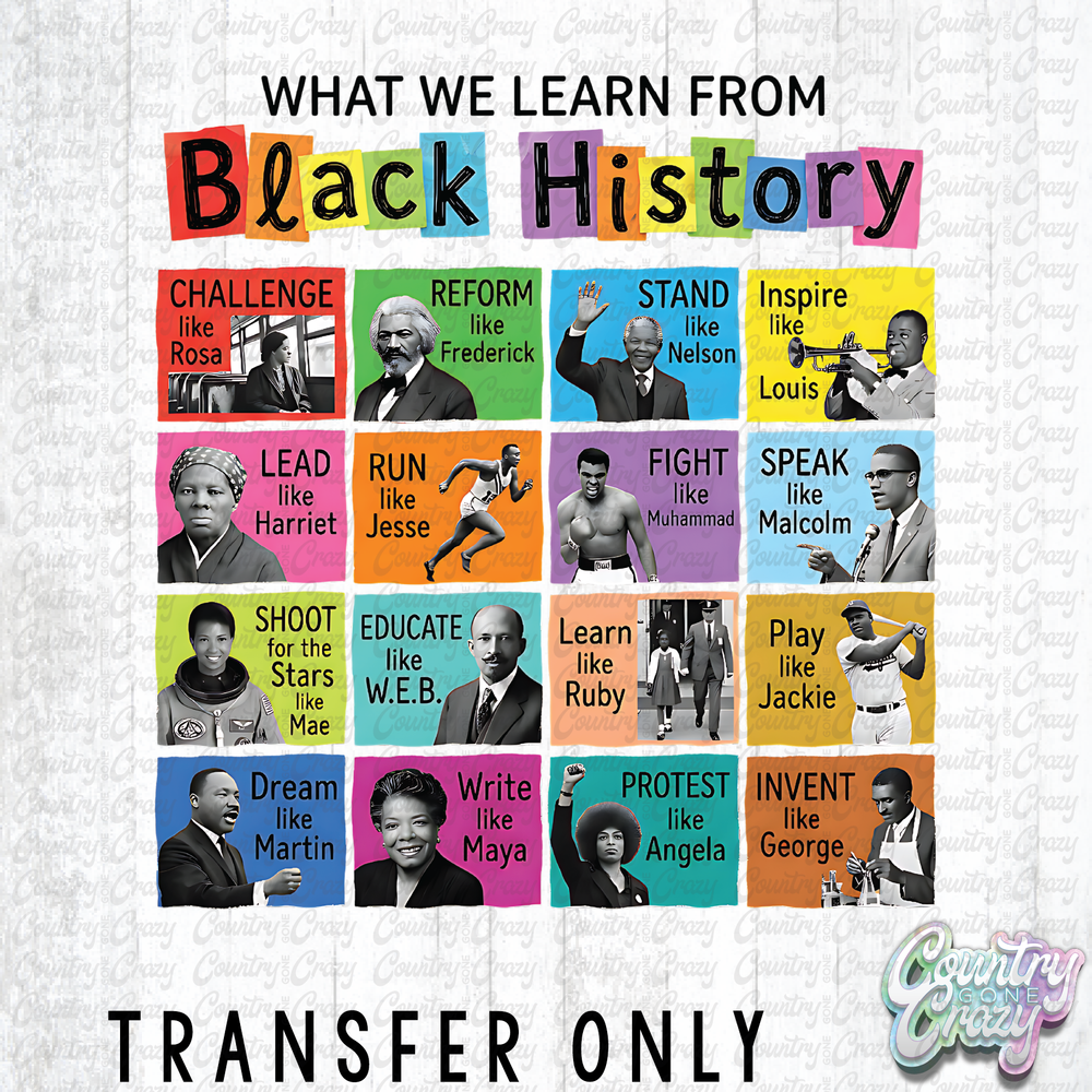 HT5192• WHAT WE LEARN FROM BLACK HISTORY-Country Gone Crazy-Country Gone Crazy
