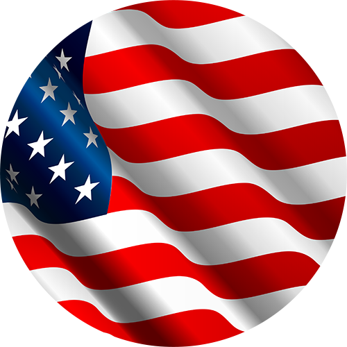 AM019 - Waving American Flag — Country Gone Crazy