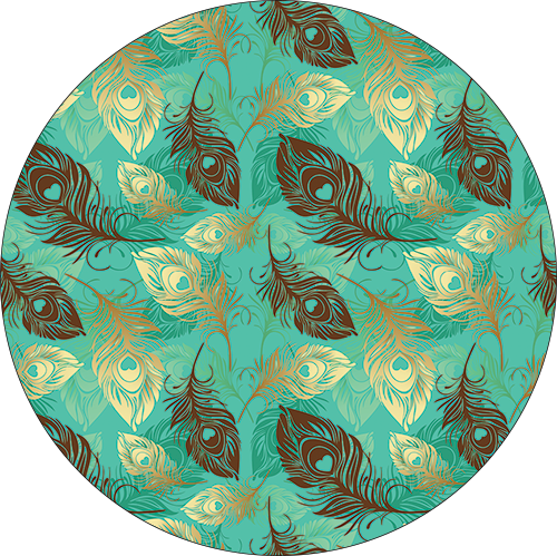 AP004 - Brown Feathers with Turquoise-Country Gone Crazy-Country Gone Crazy