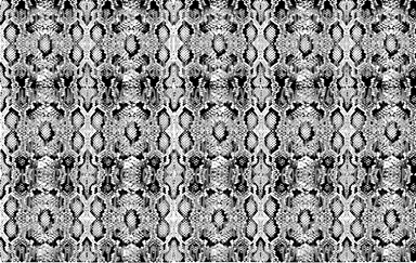 AP031 - Snake Skin-Country Gone Crazy-Country Gone Crazy