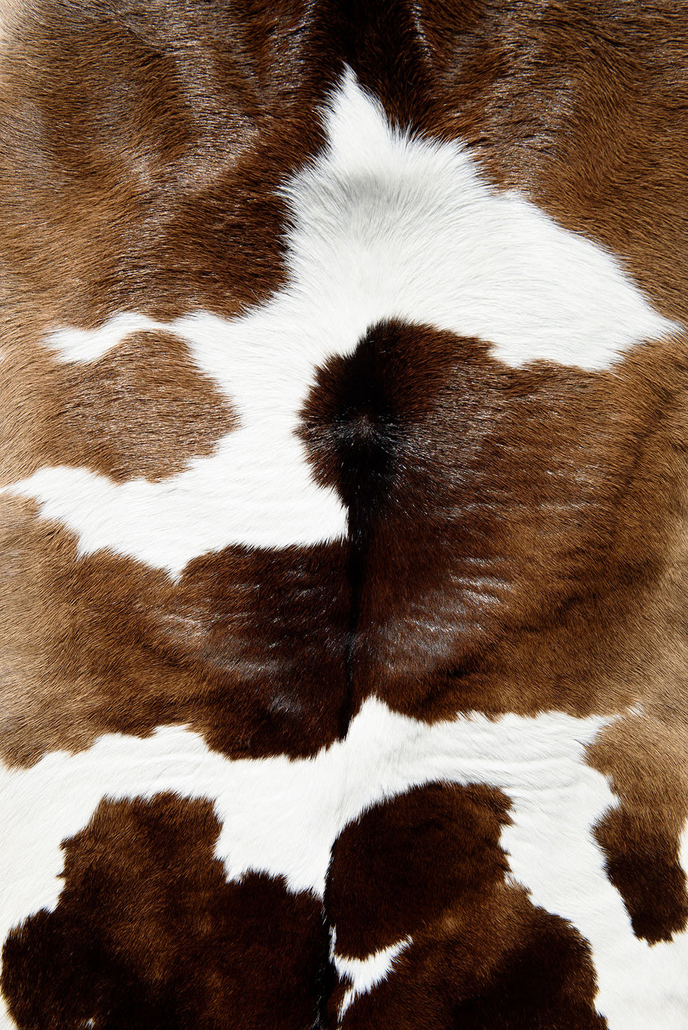 AP054 - Cow Hide-Country Gone Crazy-Country Gone Crazy