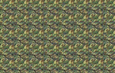 CA002 - Camouflage-Country Gone Crazy-Country Gone Crazy