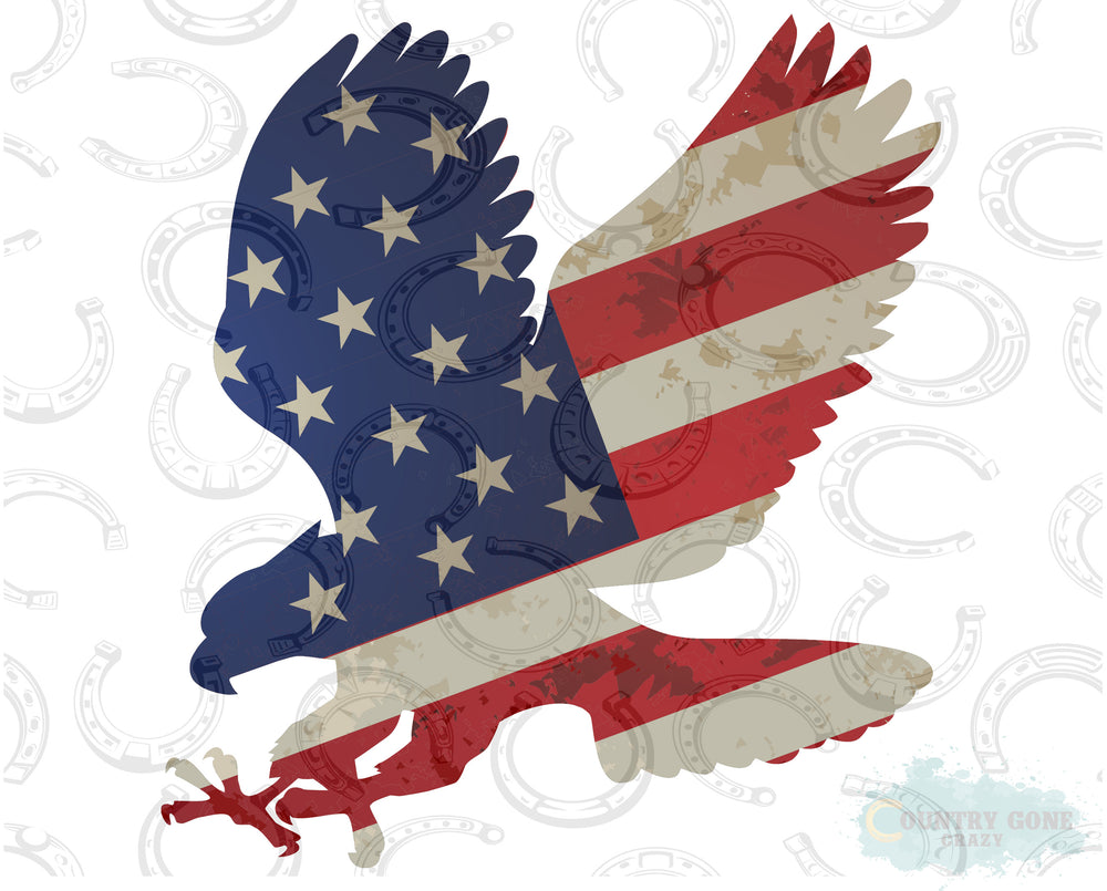 HT040 • Eagle Flag-Country Gone Crazy-Country Gone Crazy