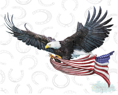 HT041 • Eagle with Flag-Country Gone Crazy-Country Gone Crazy
