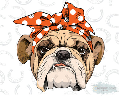 HT288 • Bulldog in Bandana-Country Gone Crazy-Country Gone Crazy