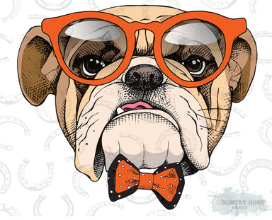 HT289 • Bulldog in Bow Tie-Country Gone Crazy-Country Gone Crazy