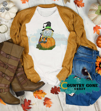 HT1517 • Gnome on Pumpkin-Country Gone Crazy-Country Gone Crazy