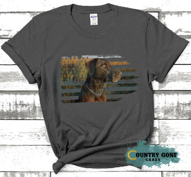 HT1907 • American Chocolate Lab-Country Gone Crazy-Country Gone Crazy